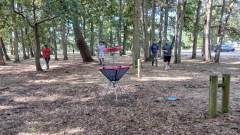 Disc_Golf_tn