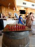 Vernissage-Mercredi-22-Sylvie_2