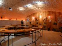 Vernissage-Mercredi-22-Sylvie_7